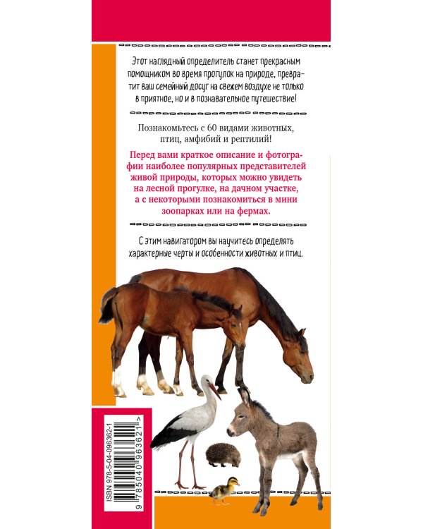 Животные на ферме. Наглядный карманный определитель (для ПР)