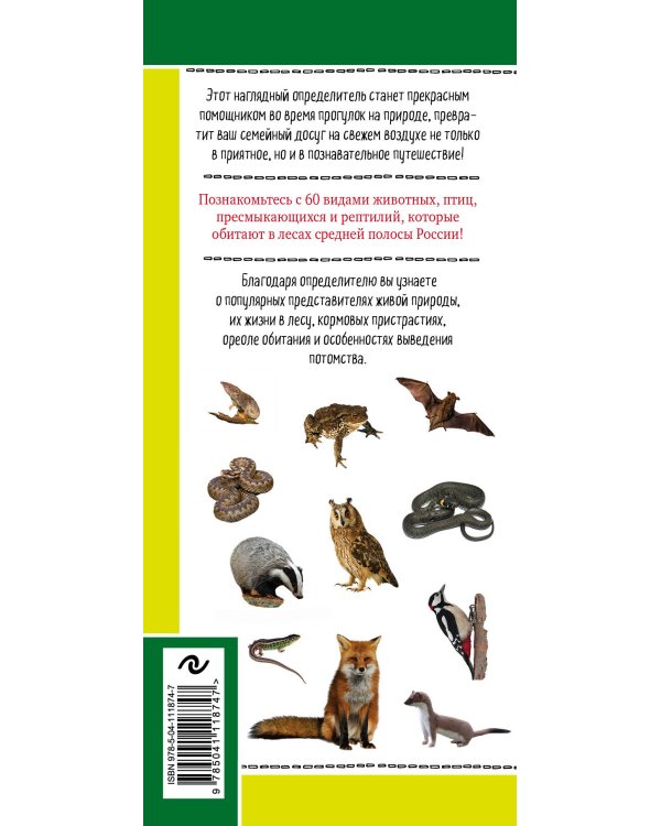 Животные и птицы. Дикие обитатели русского леса