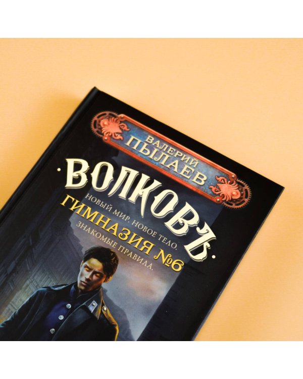 Волков. Гимназия №6