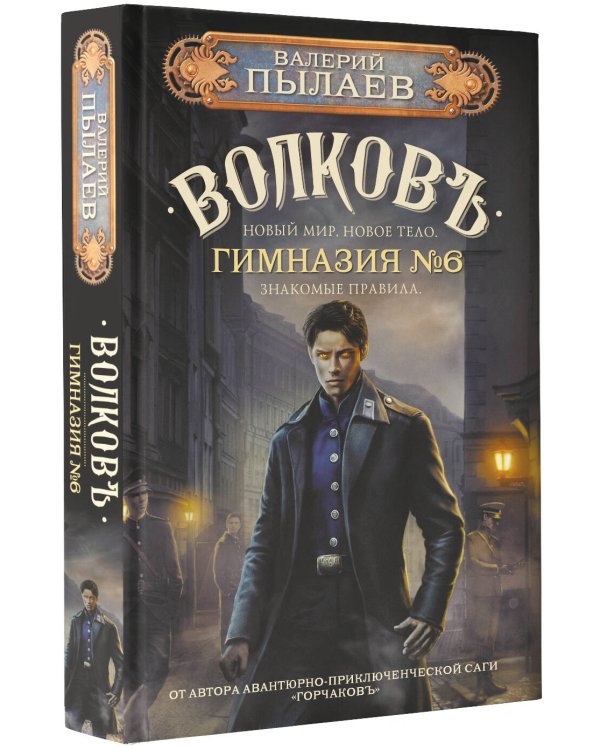 Волков. Гимназия №6