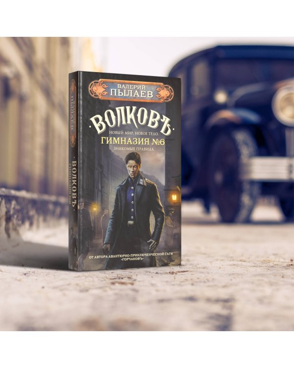 Волков. Гимназия №6