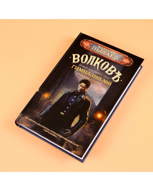 Волков. Гимназия №6