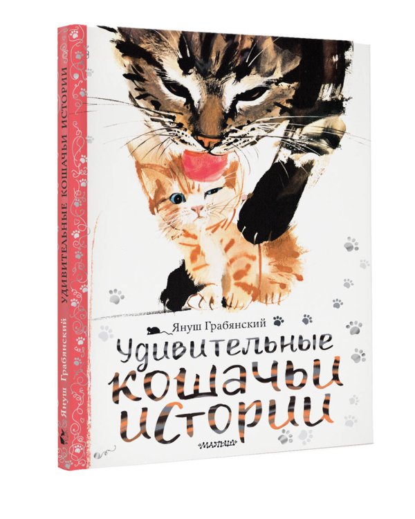 Удивительные кошачьи истории