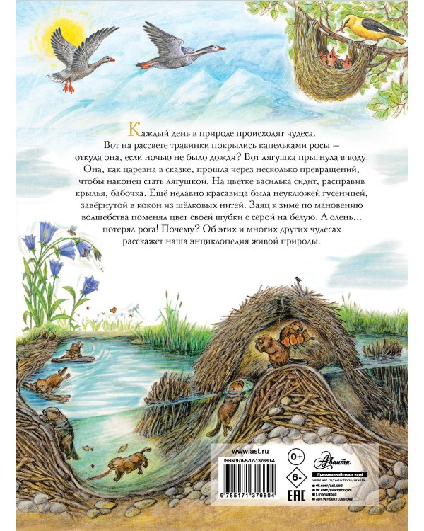 Чудеса природы. 50 историй в картинках для детей