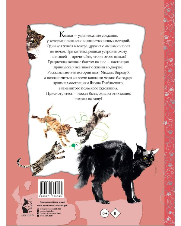 Удивительные кошачьи истории