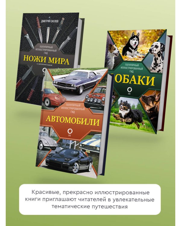 Футбол. Популярный иллюстрированный гид