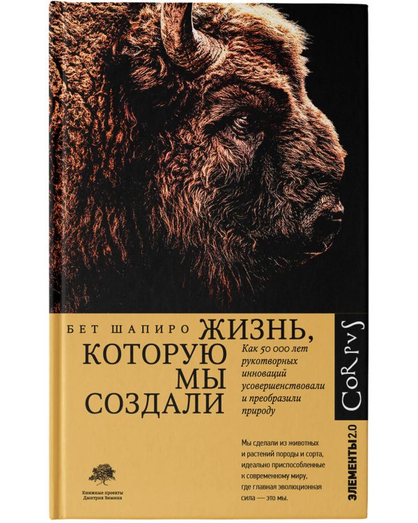 Жизнь, которую мы создали