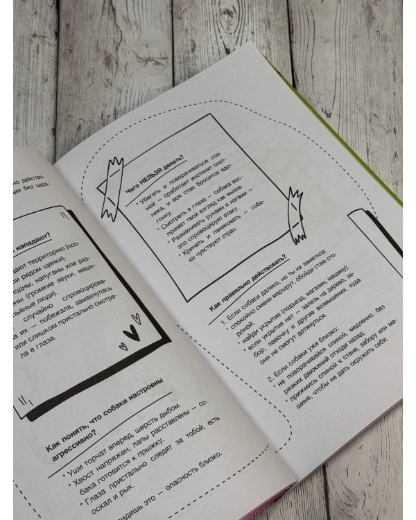 Тренд на безопасность. Гид по выживанию в современном мире. Для девочек-подростков