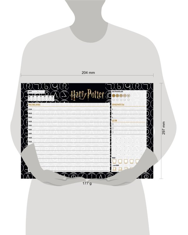 Планер настольный с отрывными листами. Гарри Поттер (24х17 см, 48 л.)