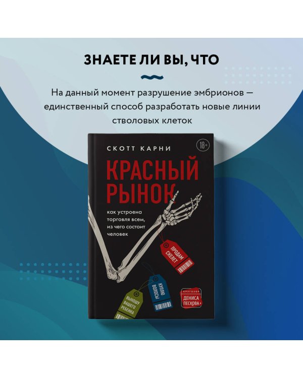 Красный рынок: как устроена торговля всем, из чего состоит человек