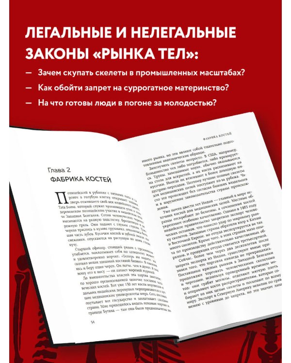 Красный рынок: как устроена торговля всем, из чего состоит человек