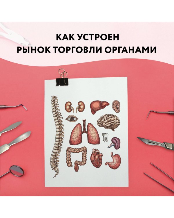 Красный рынок: как устроена торговля всем, из чего состоит человек