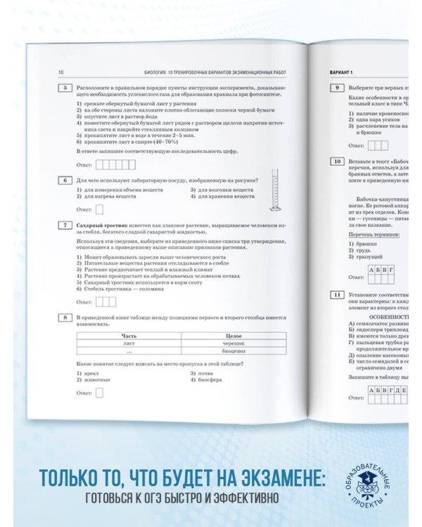ОГЭ-2026. Биология. 10 тренировочных вариантов экзаменационных работ для подготовки к основному государственному экзамену