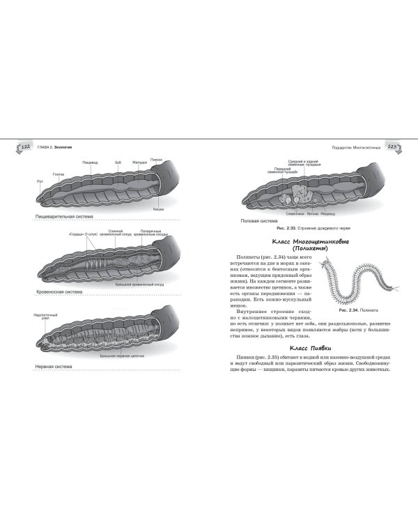Справочник по биологии для 5-9 классов