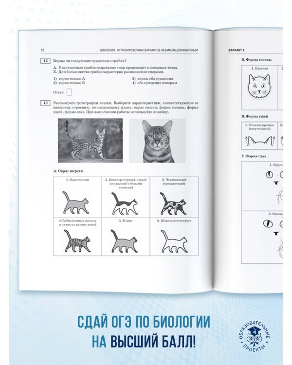 ОГЭ-2026. Биология. 10 тренировочных вариантов экзаменационных работ для подготовки к основному государственному экзамену