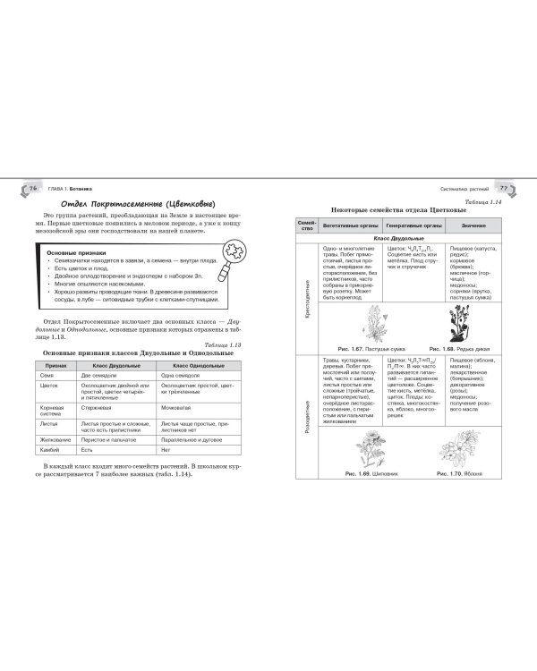 Справочник по биологии для 5-9 классов