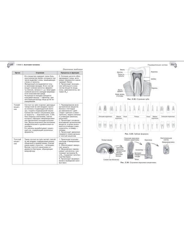 Справочник по биологии для 5-9 классов