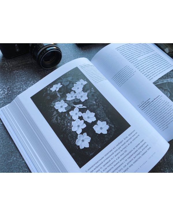 Ансель Адамс. Камера. Негатив. Отпечаток