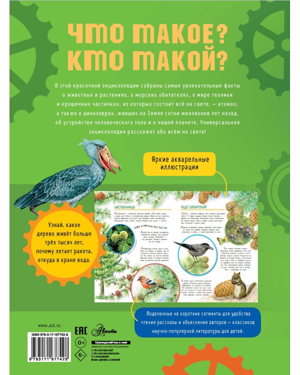 Что такое? Кто такой?