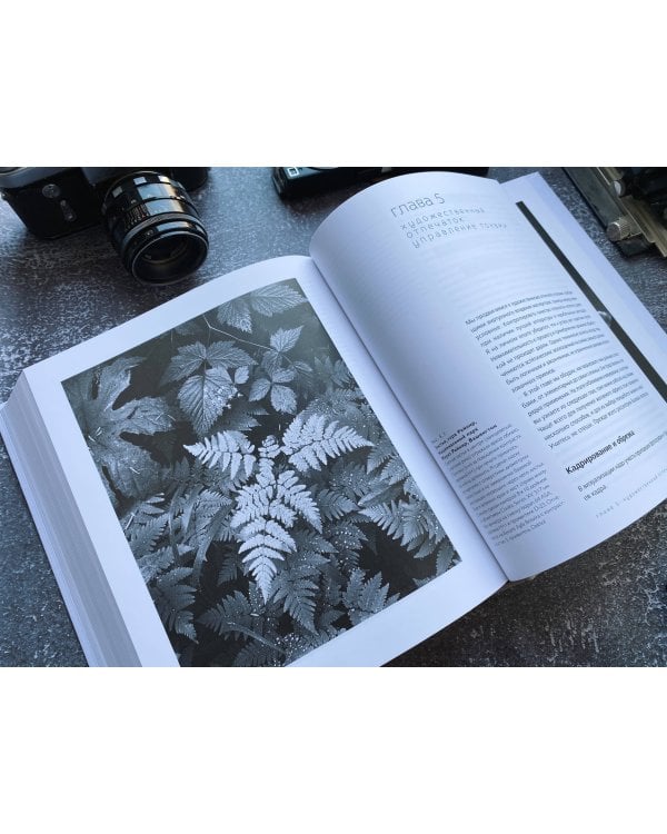 Ансель Адамс. Камера. Негатив. Отпечаток