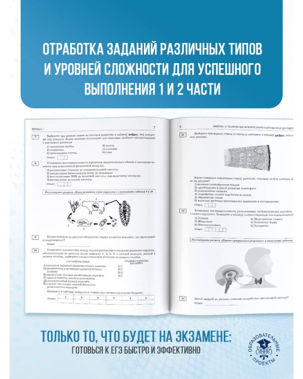 ЕГЭ-2026. Биология. 10 тренировочных вариантов экзаменационных работ для подготовки к единому государственному экзамену