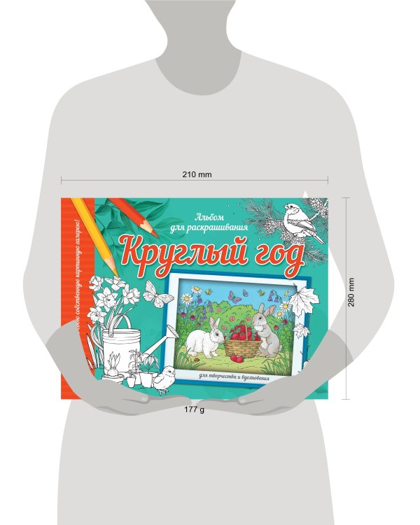 Круглый год