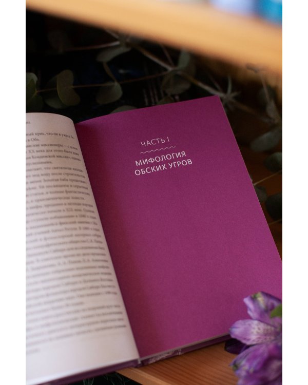 Мифы Западной Сибири. От Оби и Алтайских гор до Старика-филина и Золотой бабы