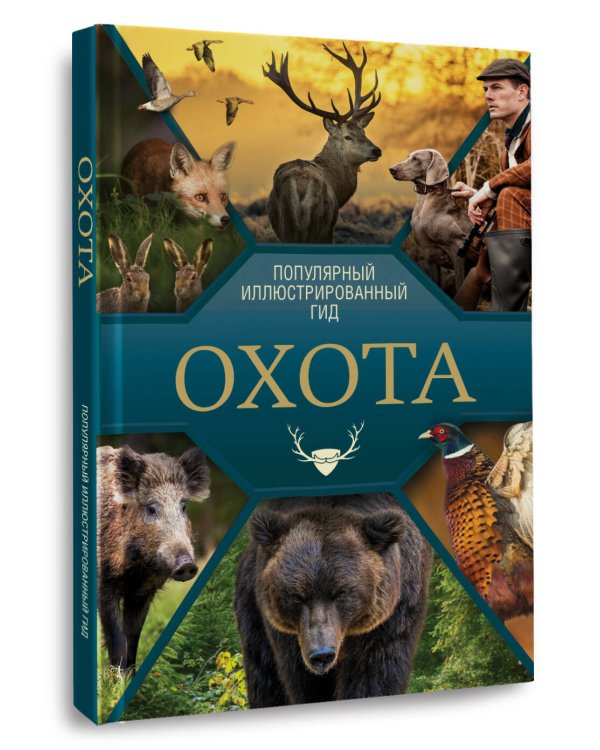 Охота. Популярный иллюстрированный гид