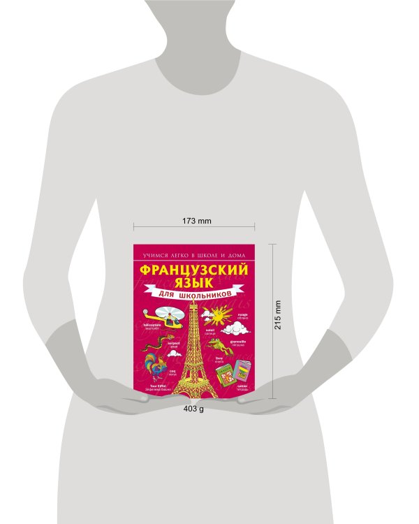 Французский язык для школьников