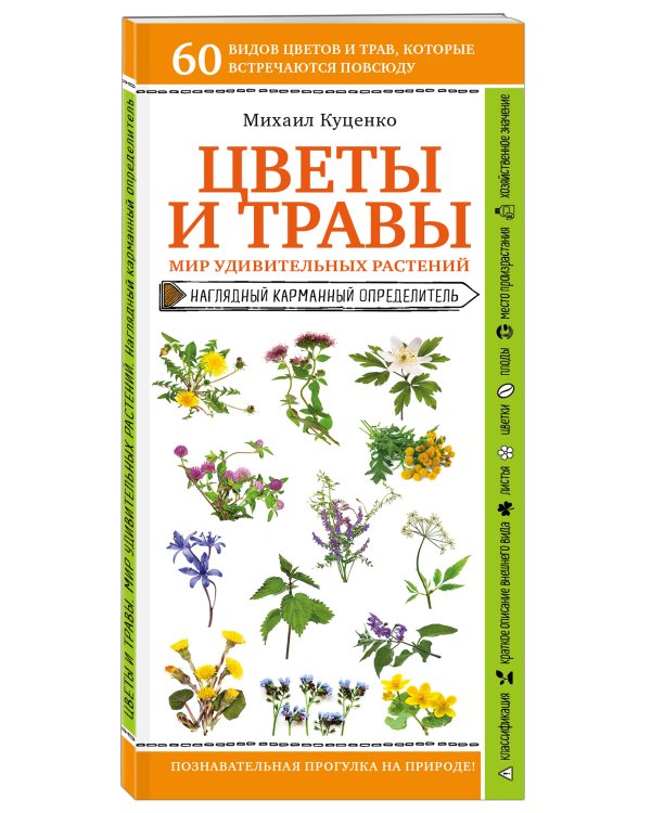 Цветы и травы. Мир удивительных растений