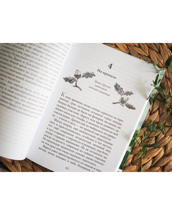 Хранители мира