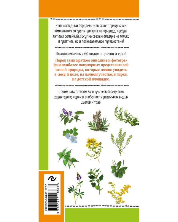 Цветы и травы. Мир удивительных растений