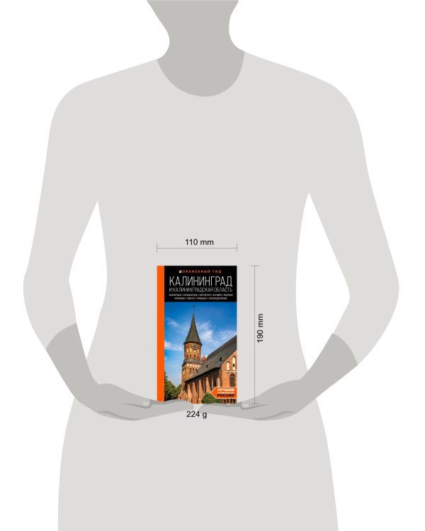 Калининград и Калининградская область: Зеленоградск, Куршская коса, Светлогорск, Балтийск, Янтарный, Черняховск, Советск, Правдинск, Железнодорожный: путеводитель.