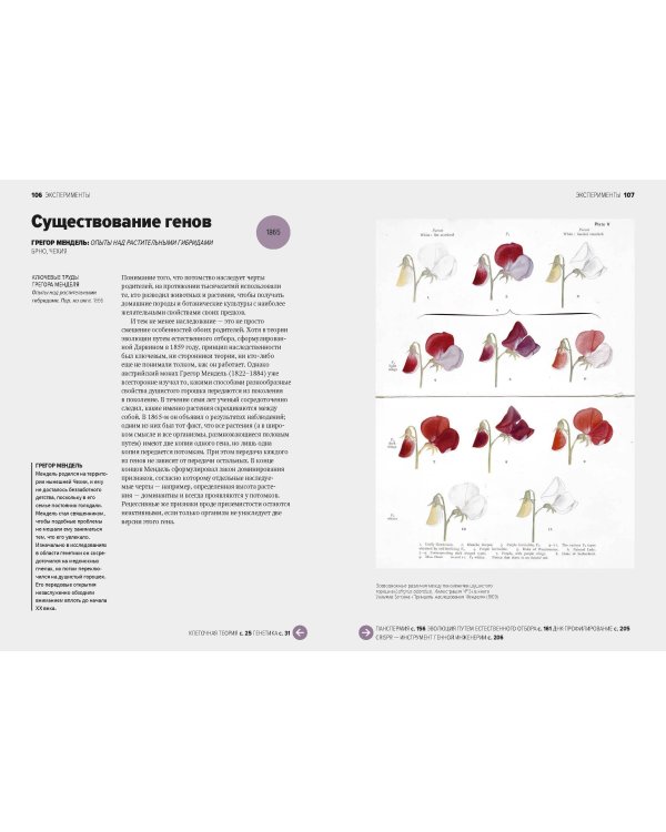 Главное в истории науки. Ключевые открытия, эксперименты, теории, методы