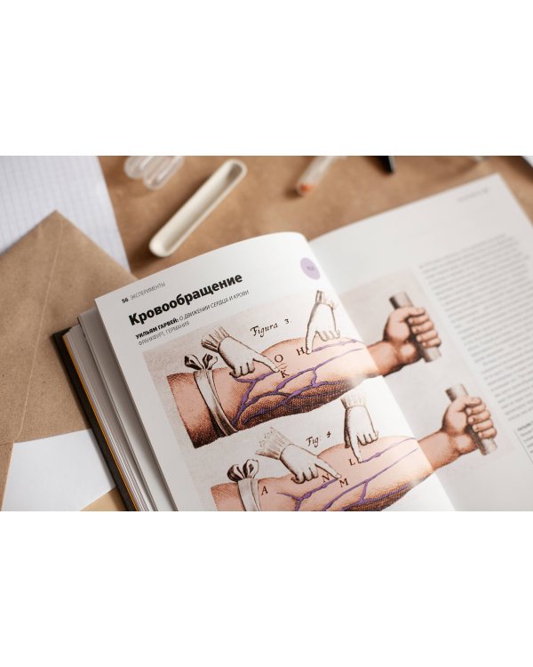 Главное в истории науки. Ключевые открытия, эксперименты, теории, методы