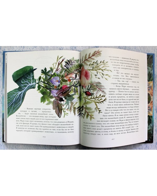 Таинственный сад (ил. М. ди Джорджо)