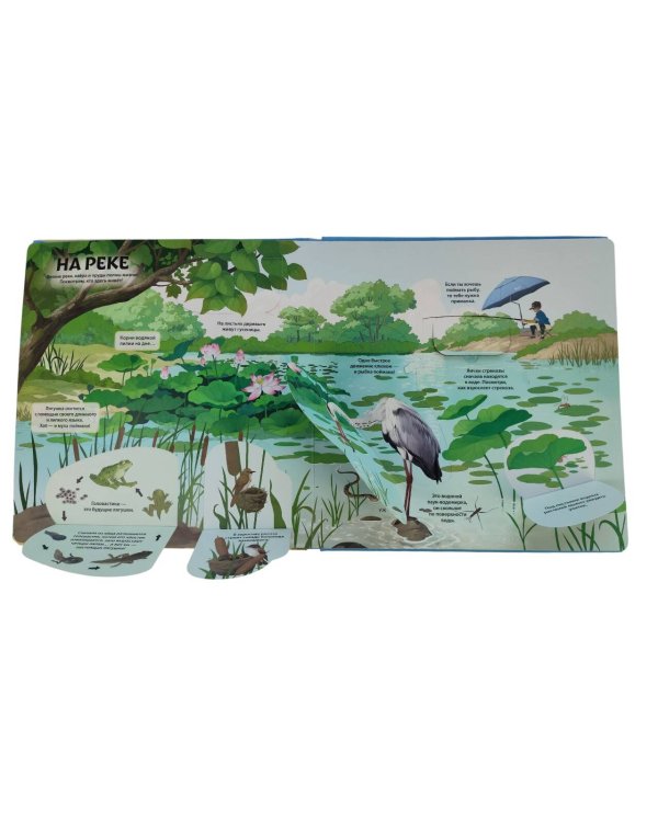 Животные и растения. Самая красивая энциклопедия с окошками, клапанами и 3D-панорамами