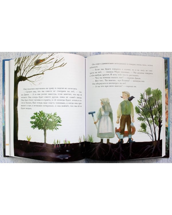 Таинственный сад (ил. М. ди Джорджо)