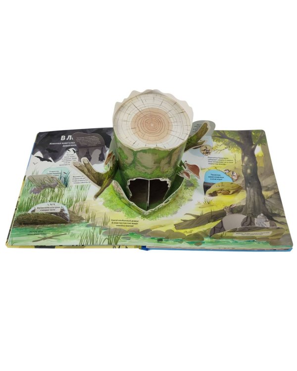Животные и растения. Самая красивая энциклопедия с окошками, клапанами и 3D-панорамами