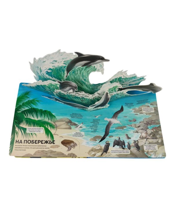 Животные и растения. Самая красивая энциклопедия с окошками, клапанами и 3D-панорамами