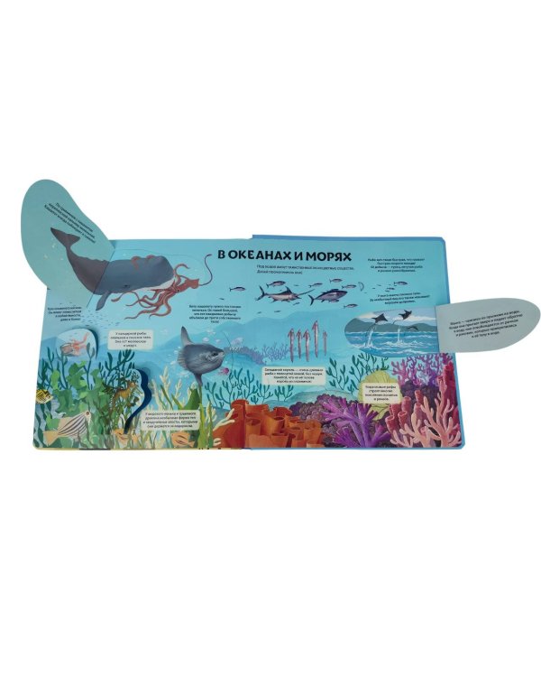 Животные и растения. Самая красивая энциклопедия с окошками, клапанами и 3D-панорамами