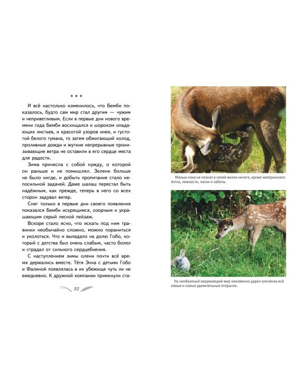 Бемби (с кинообложкой)