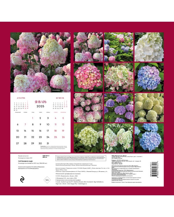 Гортензии в саду. Календарь настенный на 2025 год (300х300 мм)
