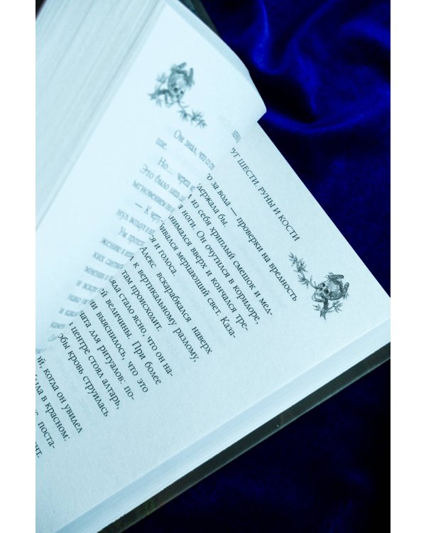 Круг Шести. Руны и кости