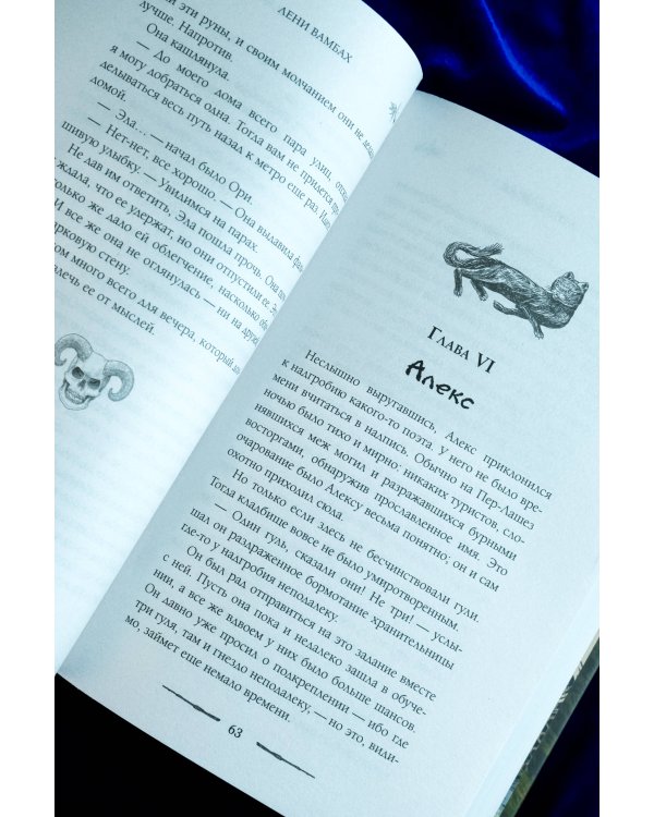 Круг Шести. Руны и кости