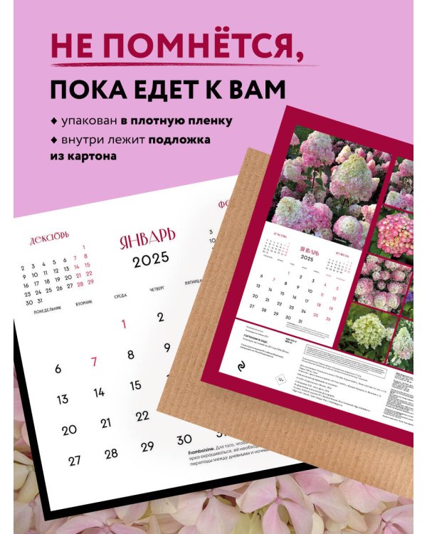 Гортензии в саду. Календарь настенный на 2025 год (300х300 мм)
