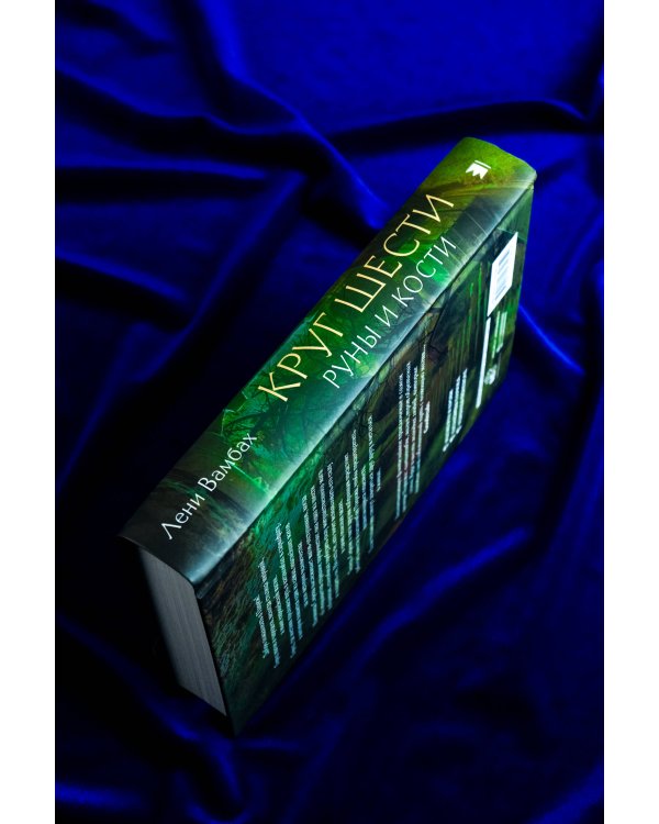 Круг Шести. Руны и кости