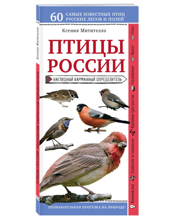 Птицы России. Наглядный карманный определитель (для ПР)