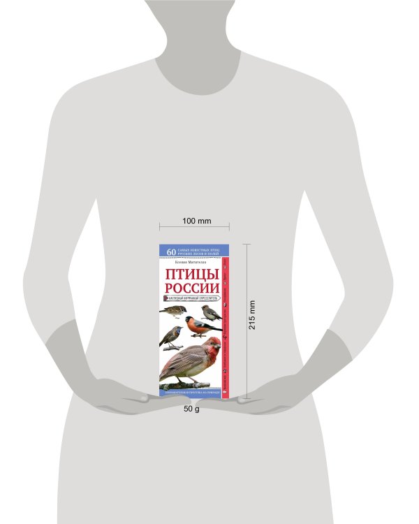 Птицы России. Наглядный карманный определитель (для ПР)