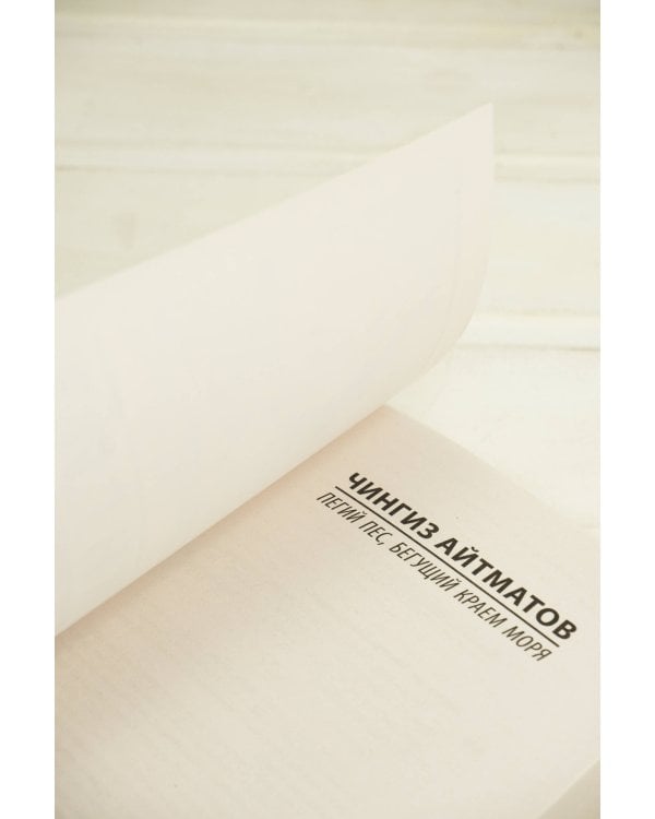 Пегий пес, бегущий краем моря